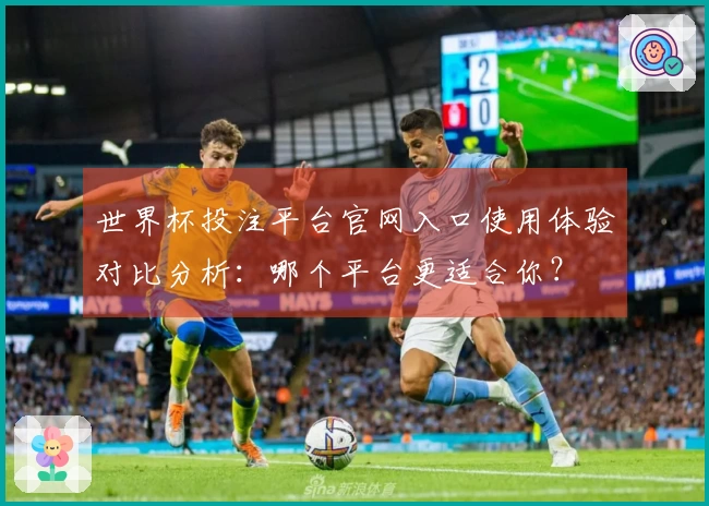 世界杯投注平台官网入口使用体验对比分析：哪个平台更适合你？