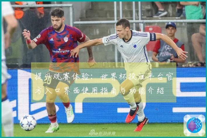 提升观赛体验：世界杯投注平台官方入口界面使用指南与功能介绍