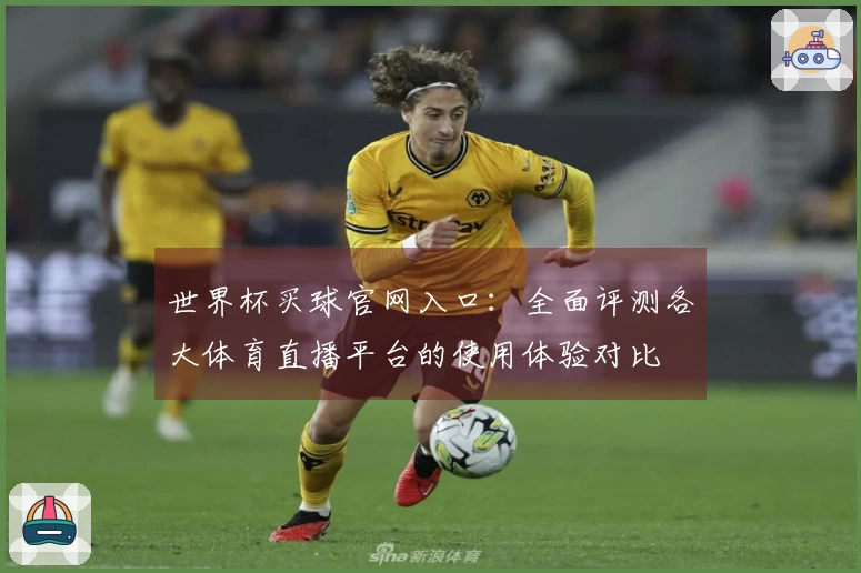 世界杯买球官网入口：全面评测各大体育直播平台的使用体验对比