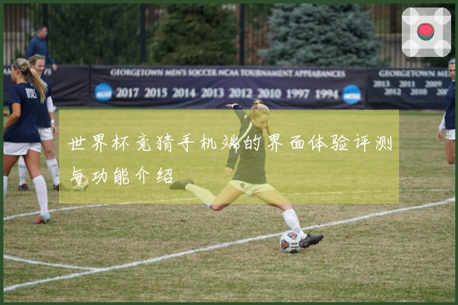 世界杯竞猜手机端的界面体验评测与功能介绍