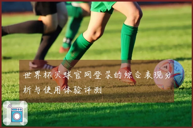 世界杯买球官网登录的综合表现分析与使用体验评测