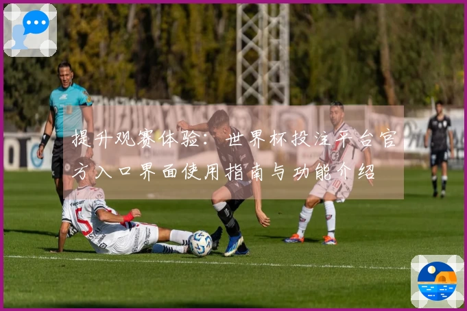提升观赛体验：世界杯投注平台官方入口界面使用指南与功能介绍