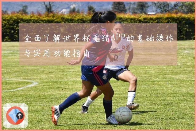 全面了解世界杯竞猜APP的基础操作与实用功能指南